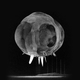 Illustration for article titled The First Millisecond of a Nuclear Explosion Is the True Face of Atomic Death